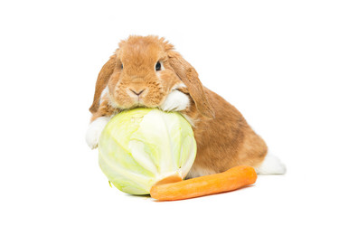 Similar image 11802585