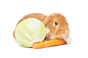 Similar image 11802666