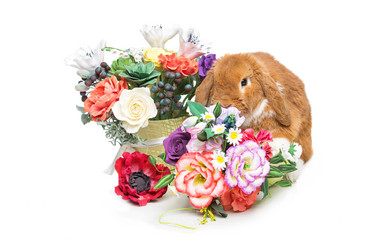 Similar image 11802670