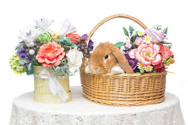 Similar image 11802683