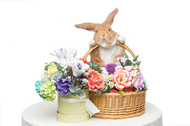 Similar image 11802567