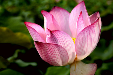 Similar image 11789529