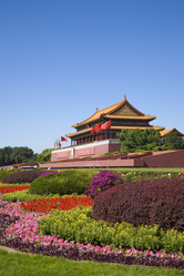 Similar image 11794309