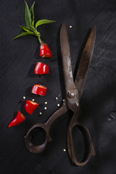 Similar image 11803559