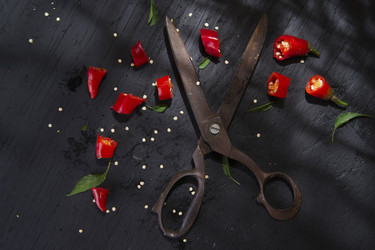 Similar image 11803462