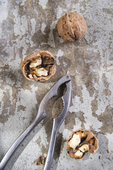 Similar image 11803486