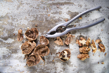 Similar image 11803646