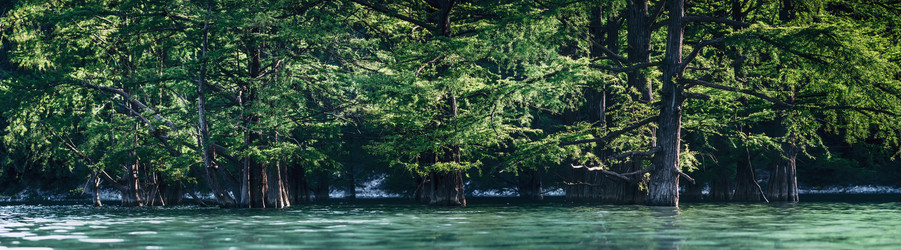 Similar image 11803834