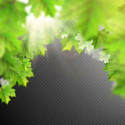 Similar image 11808813