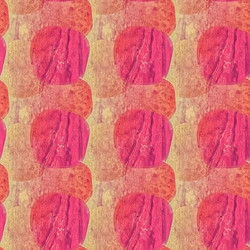 Similar image 11825293