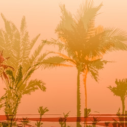 Similar image 11824410