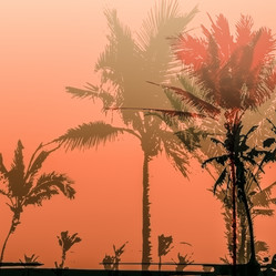 Similar image 11824491