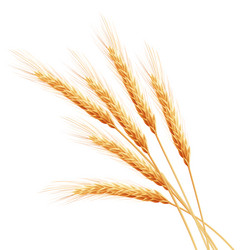 Similar image 11809120