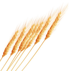 Similar image 11809143