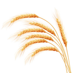 Similar image 11809161