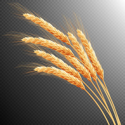 Similar image 11809200