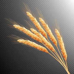 Similar image 11809201