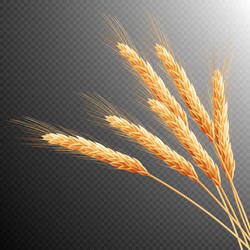 Similar image 11809203