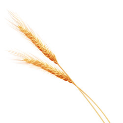 Similar image 11809205