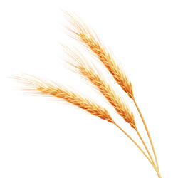 Similar image 11809221