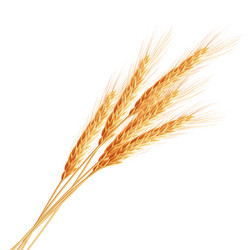 Similar image 11806630