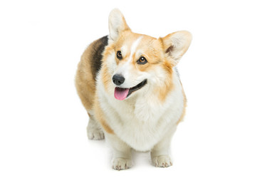 Similar image 11802502