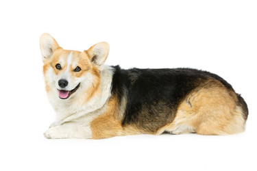 Similar image 11802524