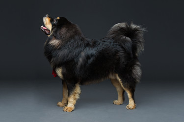 Similar image 11802546