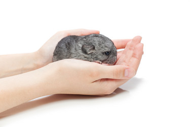 Similar image 11802570