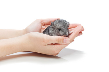 Similar image 11802571