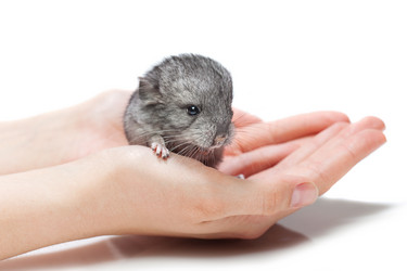 Similar image 11802587