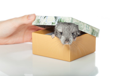 Similar image 11802588