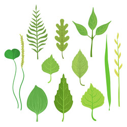 Similar image 11813698