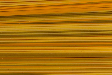 Similar image 11789630