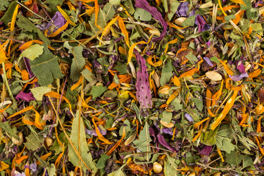 Similar image 11789660