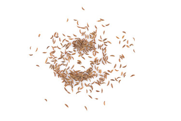 Similar image 11787781