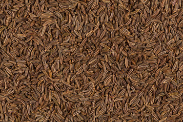 Similar image 11787815