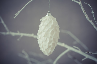 Similar image 11786939