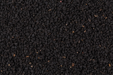 Similar image 11786954