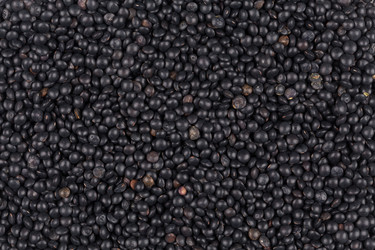 Similar image 11786991