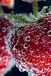 Similar image 11810879