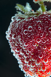 Similar image 11810880