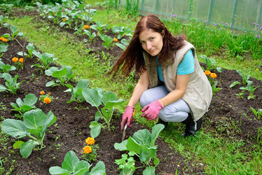 Similar image 11823189