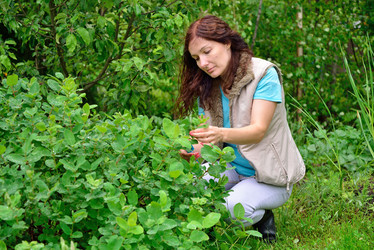 Similar image 11823192