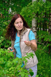 Similar image 11823193