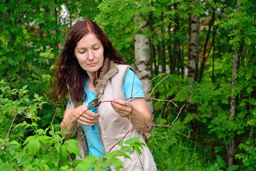 Similar image 11823194