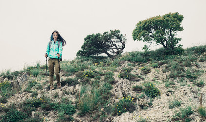 Similar image 11803918