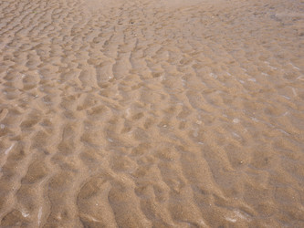 Similar image 11802103