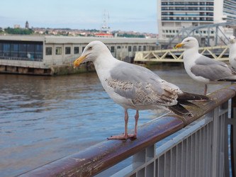 Similar image 11802105