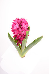 Similar image 11824494